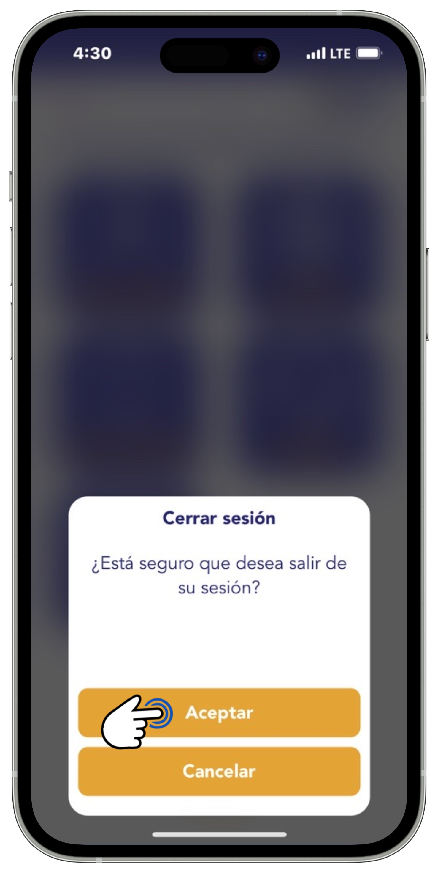 App BT - Cerrar sesión.jpg