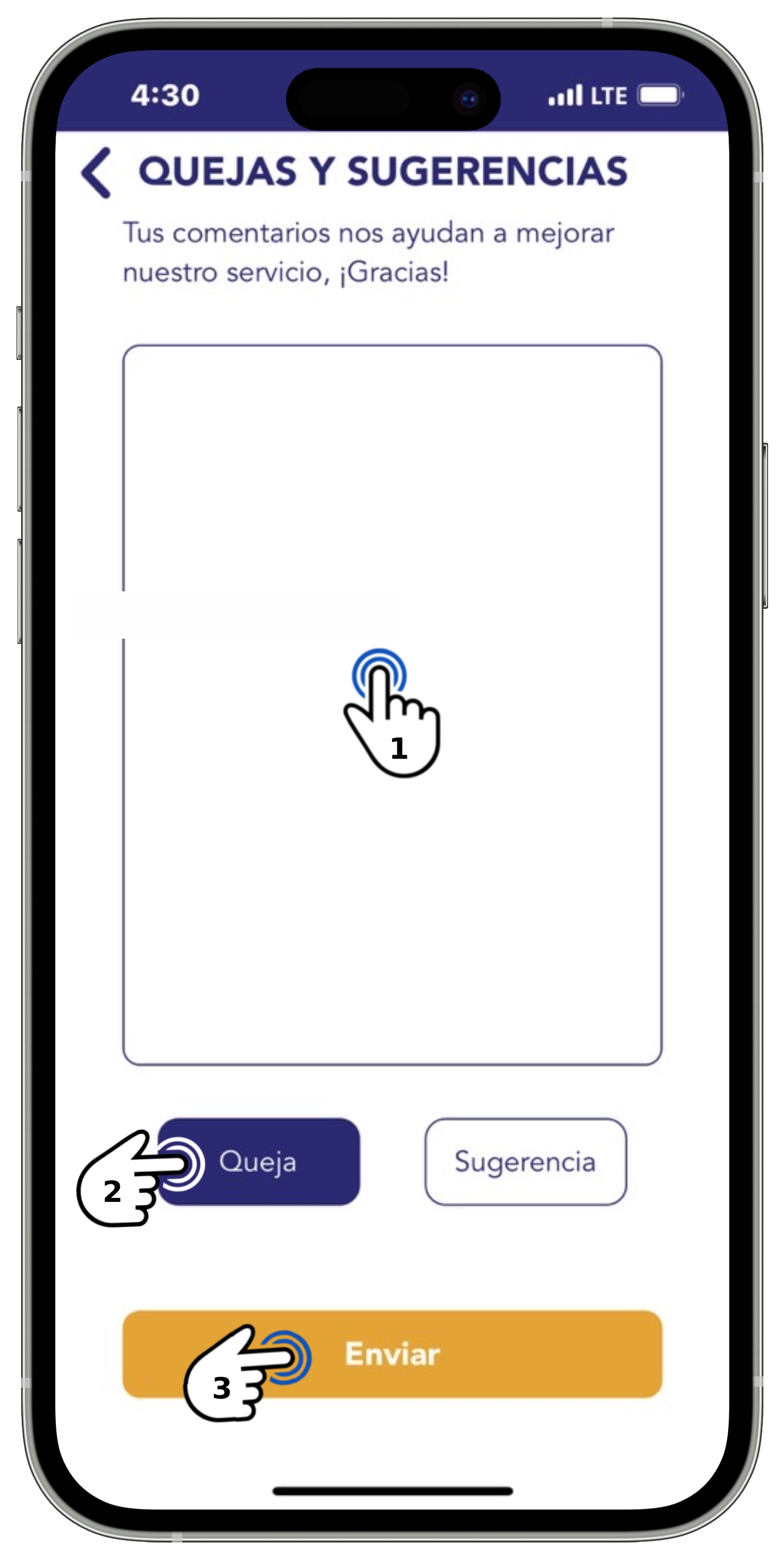 App BT - Menú Ayuda - Descripción Quejas y botón Enviar seleccionados.jpg