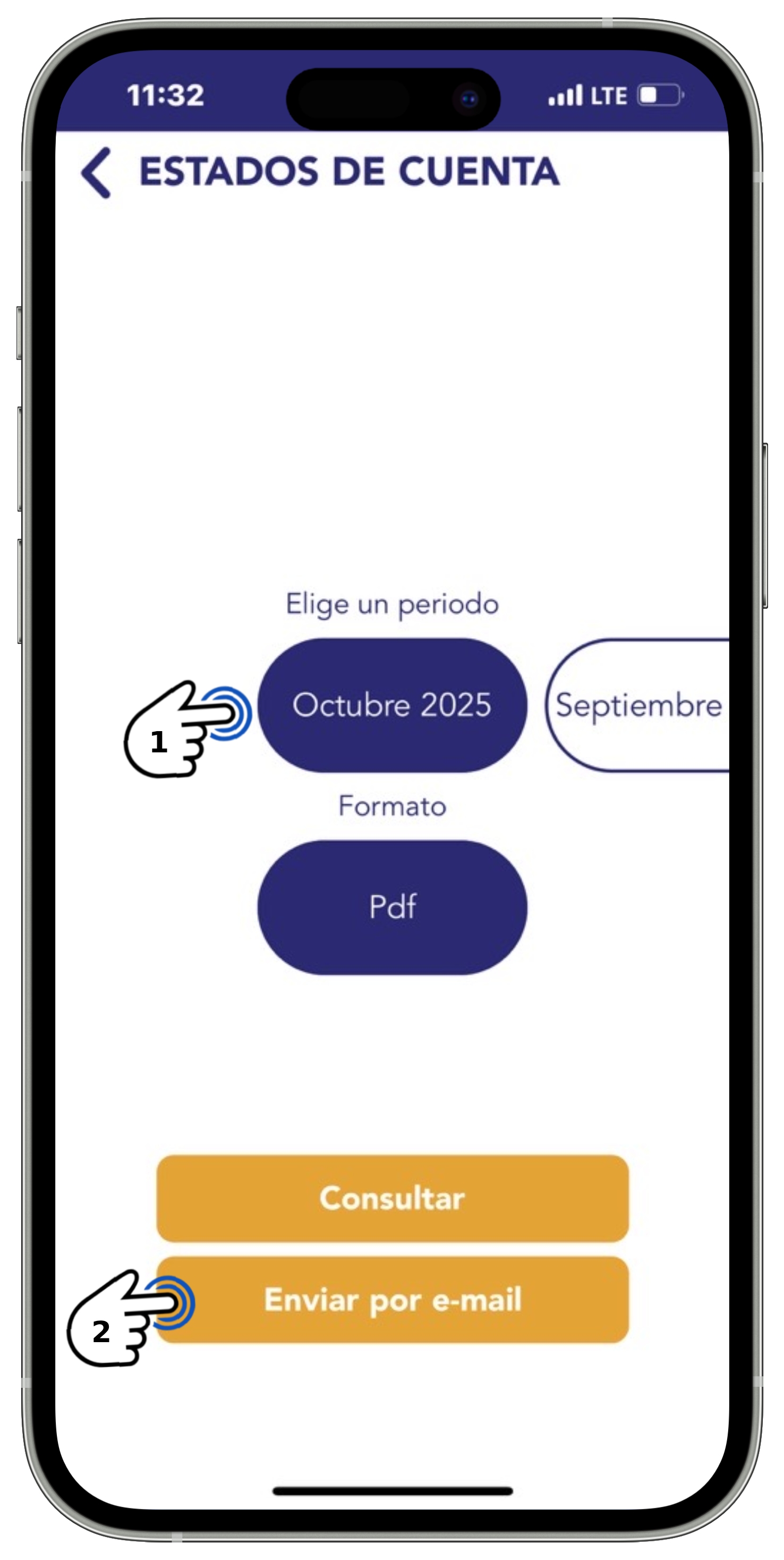 APP BT - Enviar estado de cuenta por e-mail seleccionado.jpg