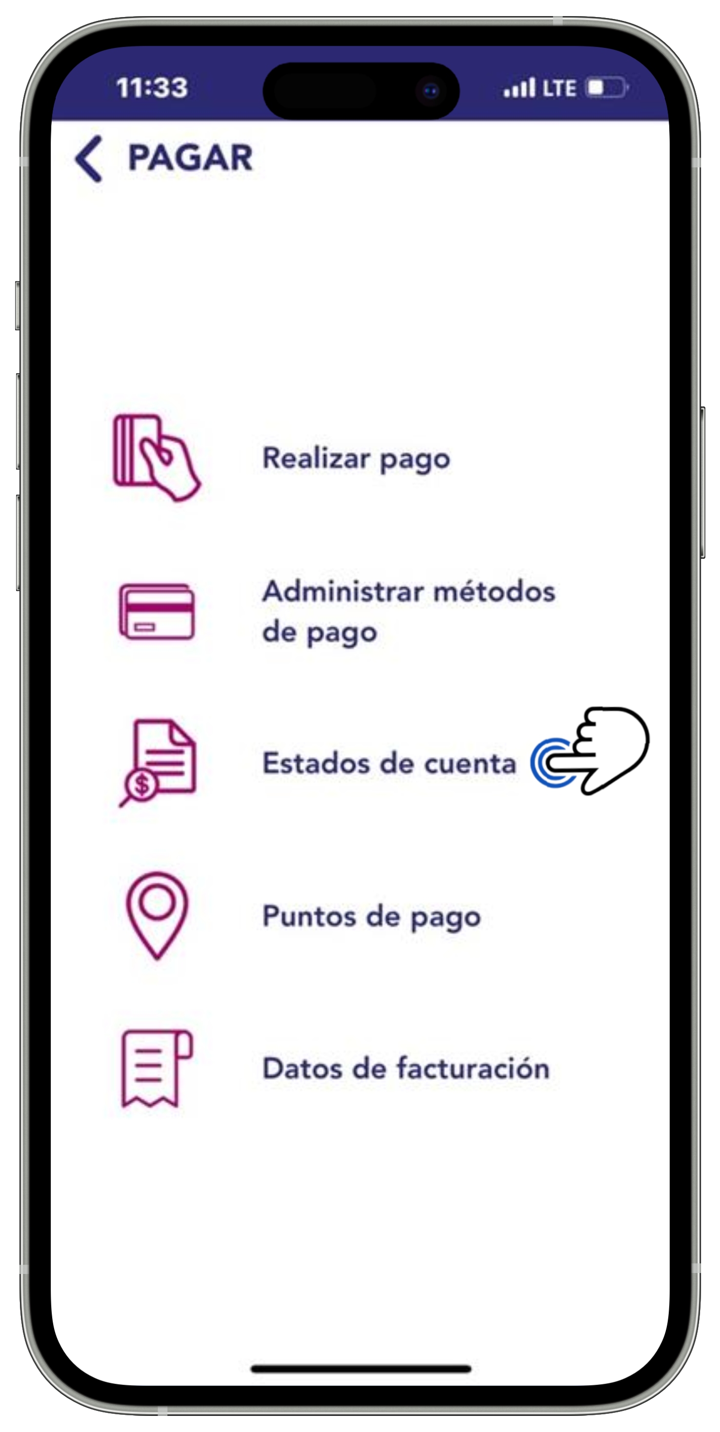 APP BT - Apartado Pagar - Opción Estado de cuenta seleccionado.jpg