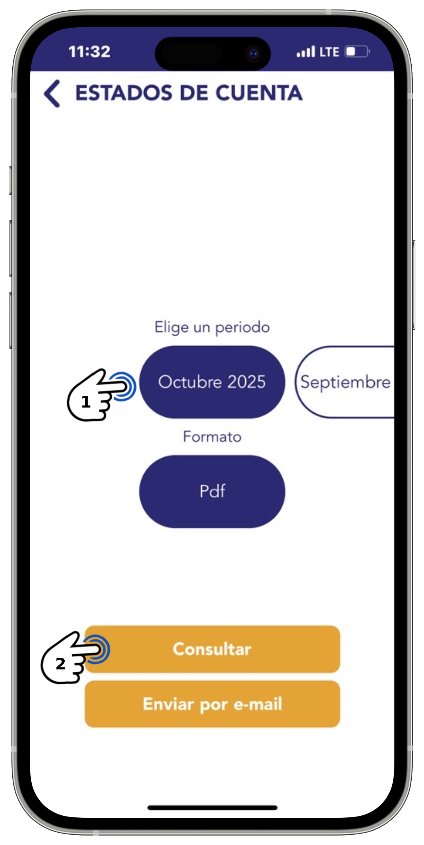 APP BT - Apartado Pagar - Consulta de estado de cuenta.jpg