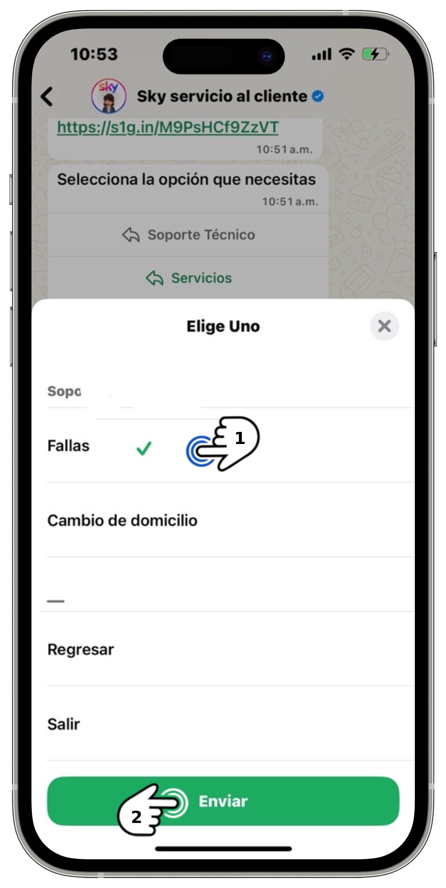WhatsApp - Fallas.jpg