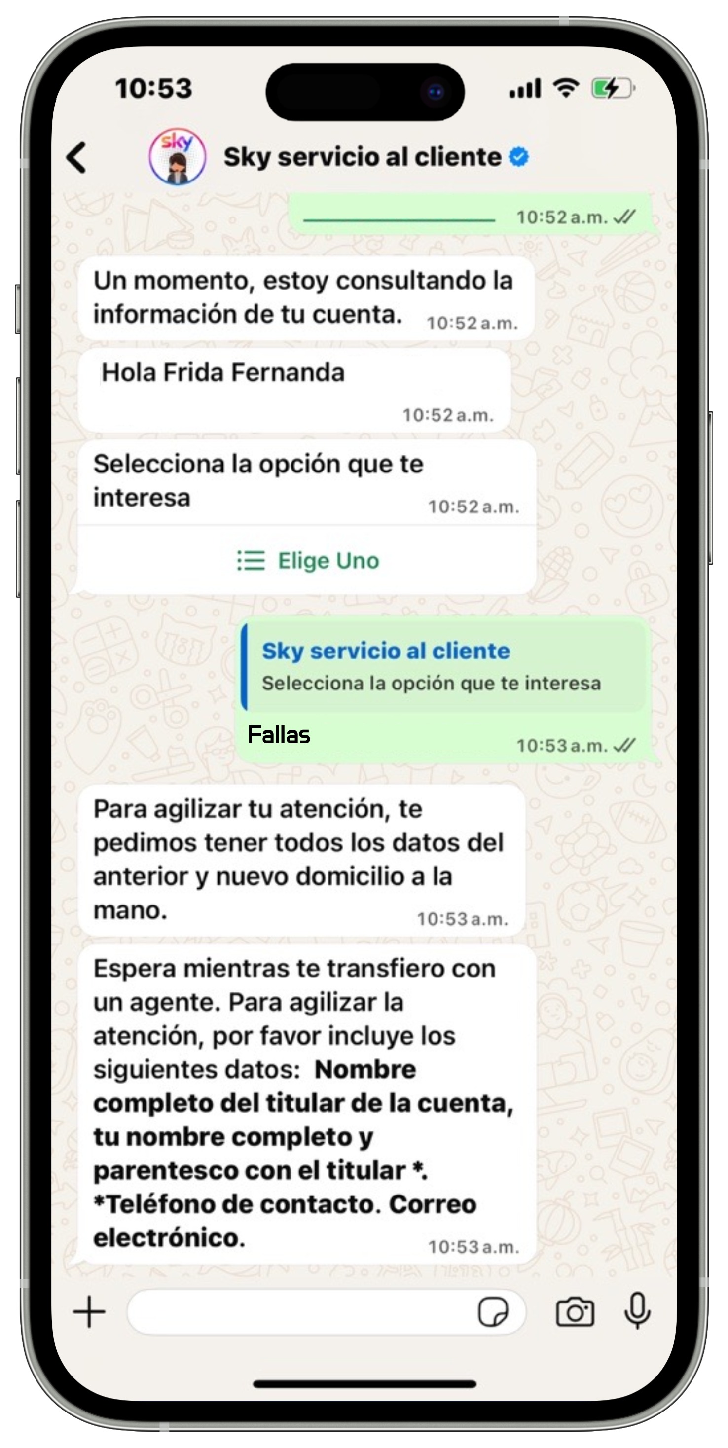 WhatsApp - Fallas 2.jpg