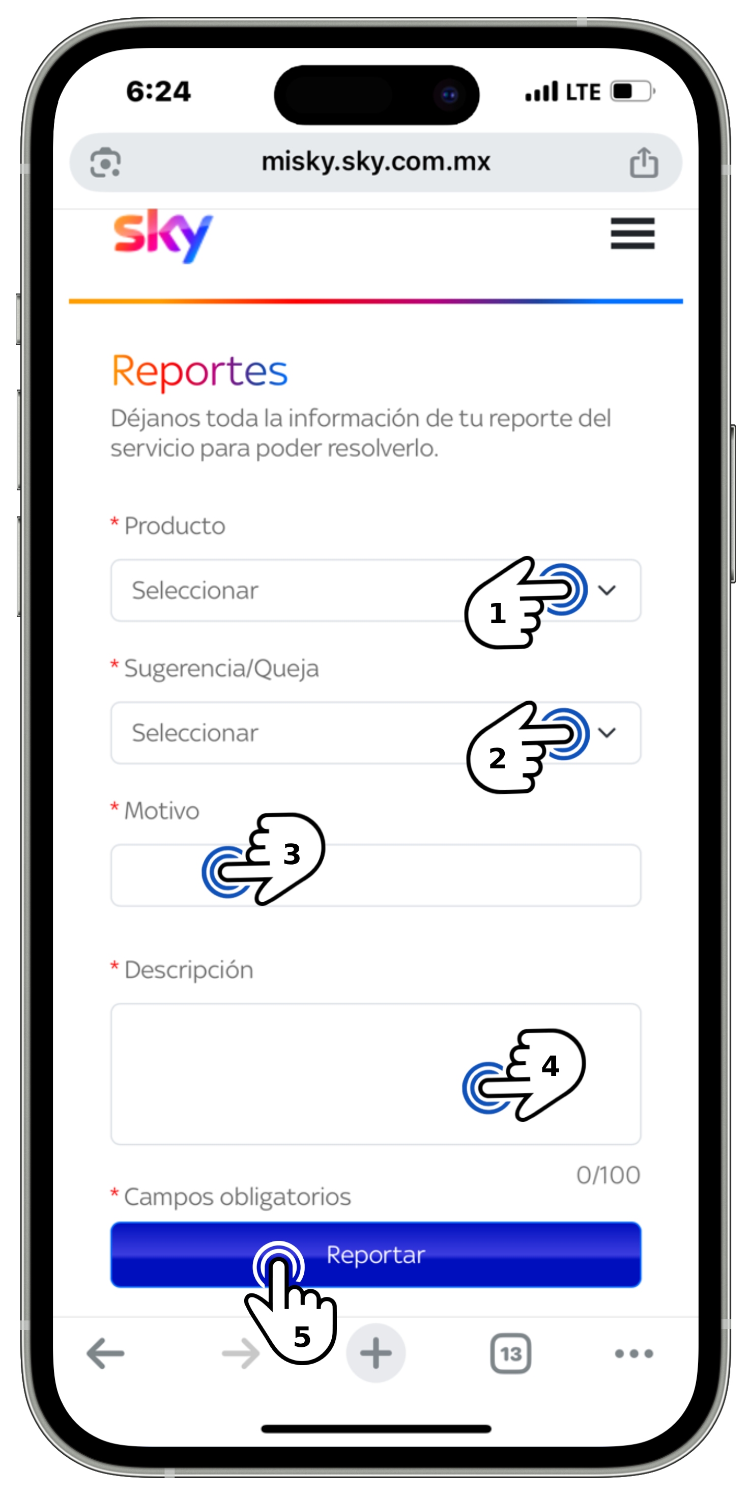 Mi Sky - Pantalla Reportes con campos seleccionados.jpg
