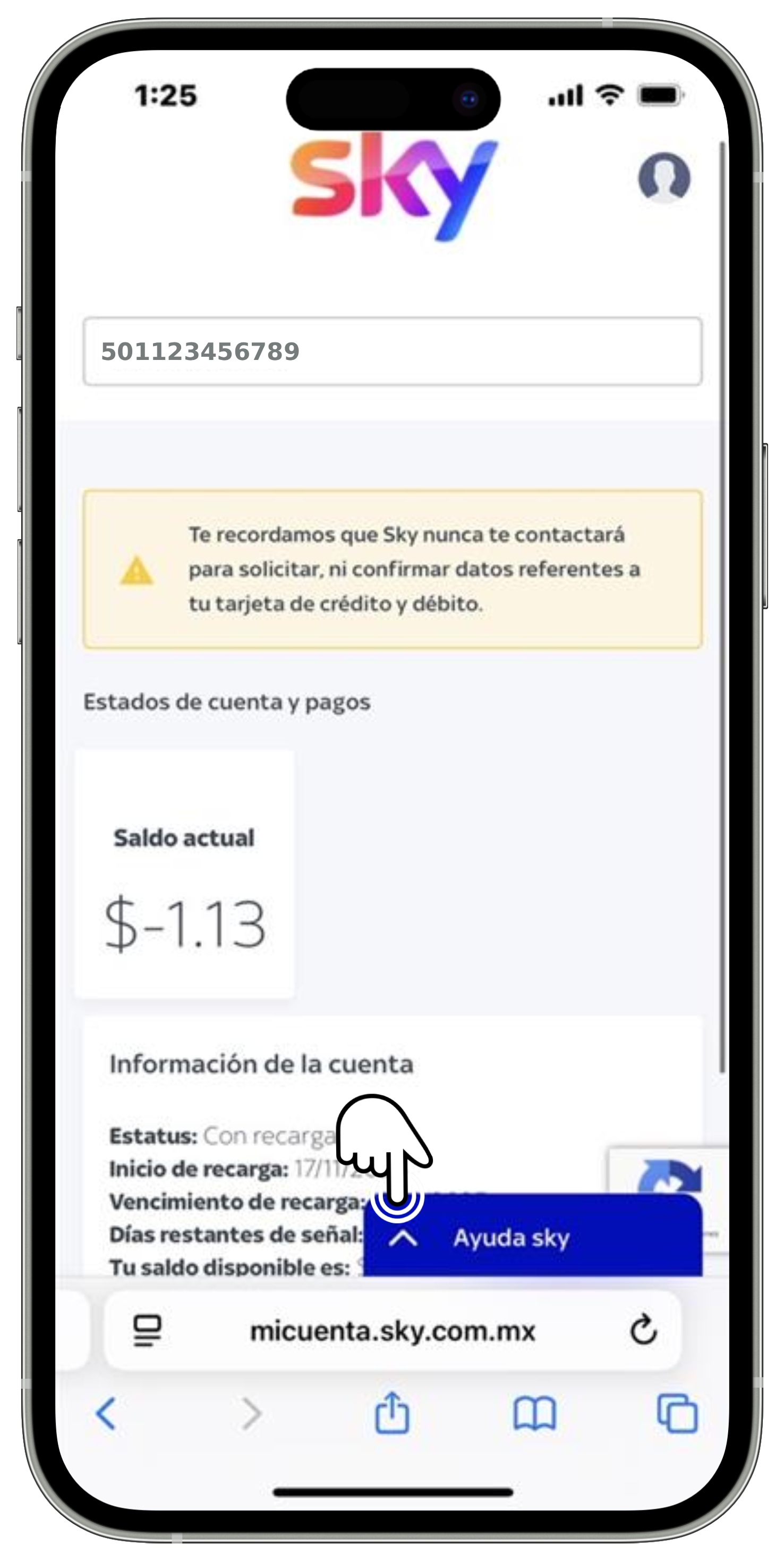 Mi cuenta Sky - Pantalla de inicio - Opción Ayuda Sky seleccionada.jpg