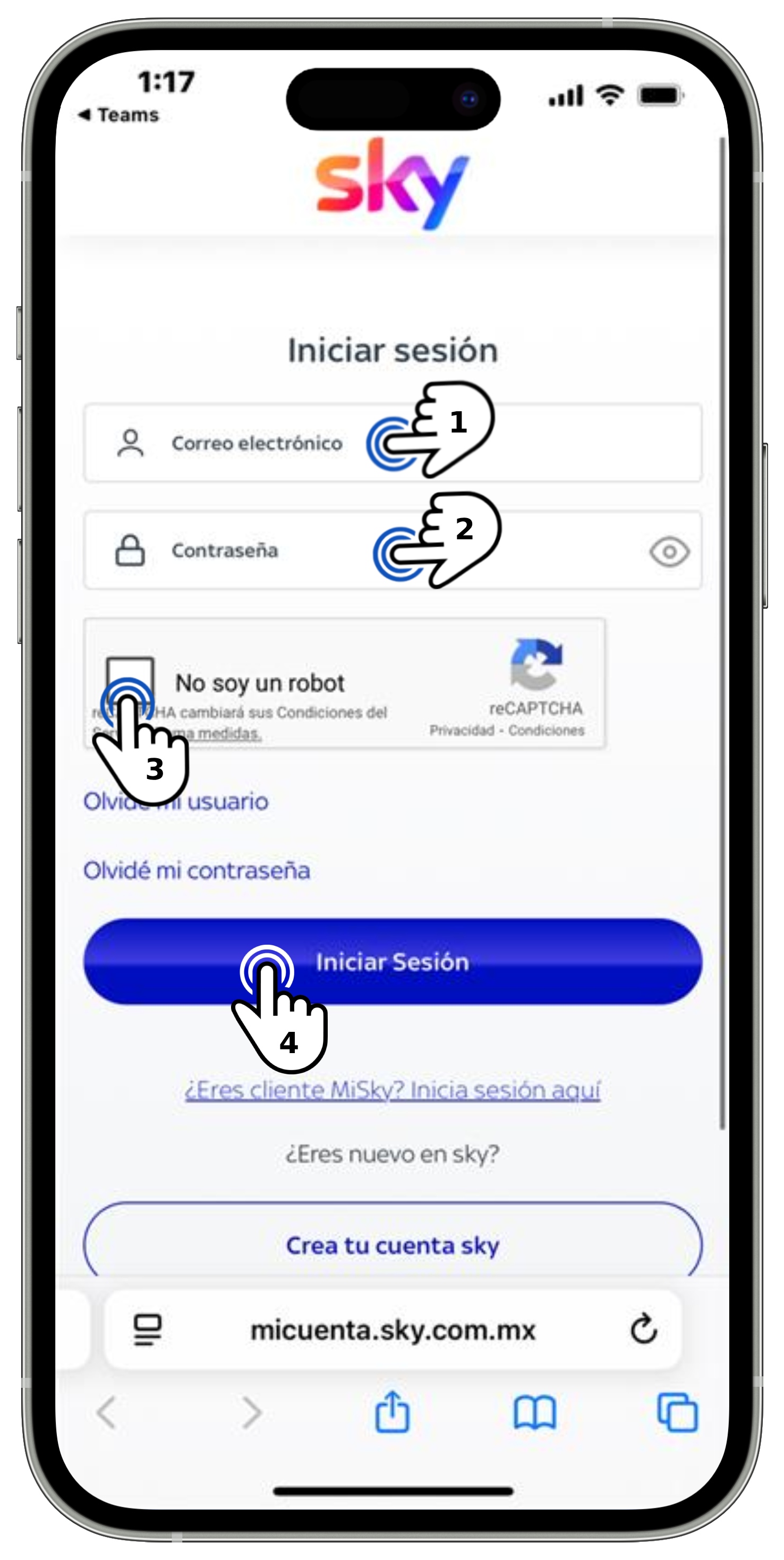 Mi cuenta Sky - Datos de ingreso seleccionados.jpg