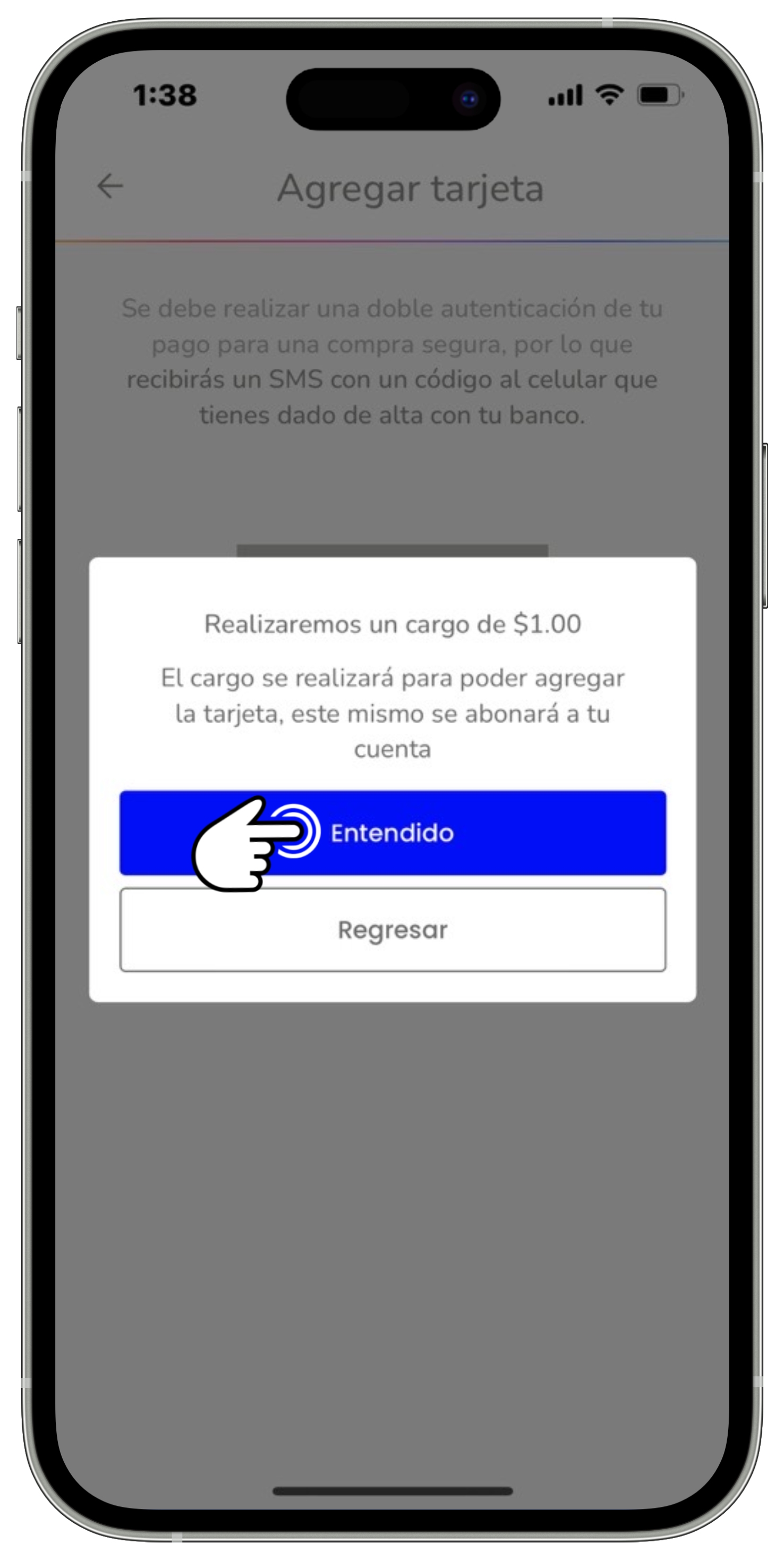 Mi app Sky - Agregar tarjeta 4.jpg