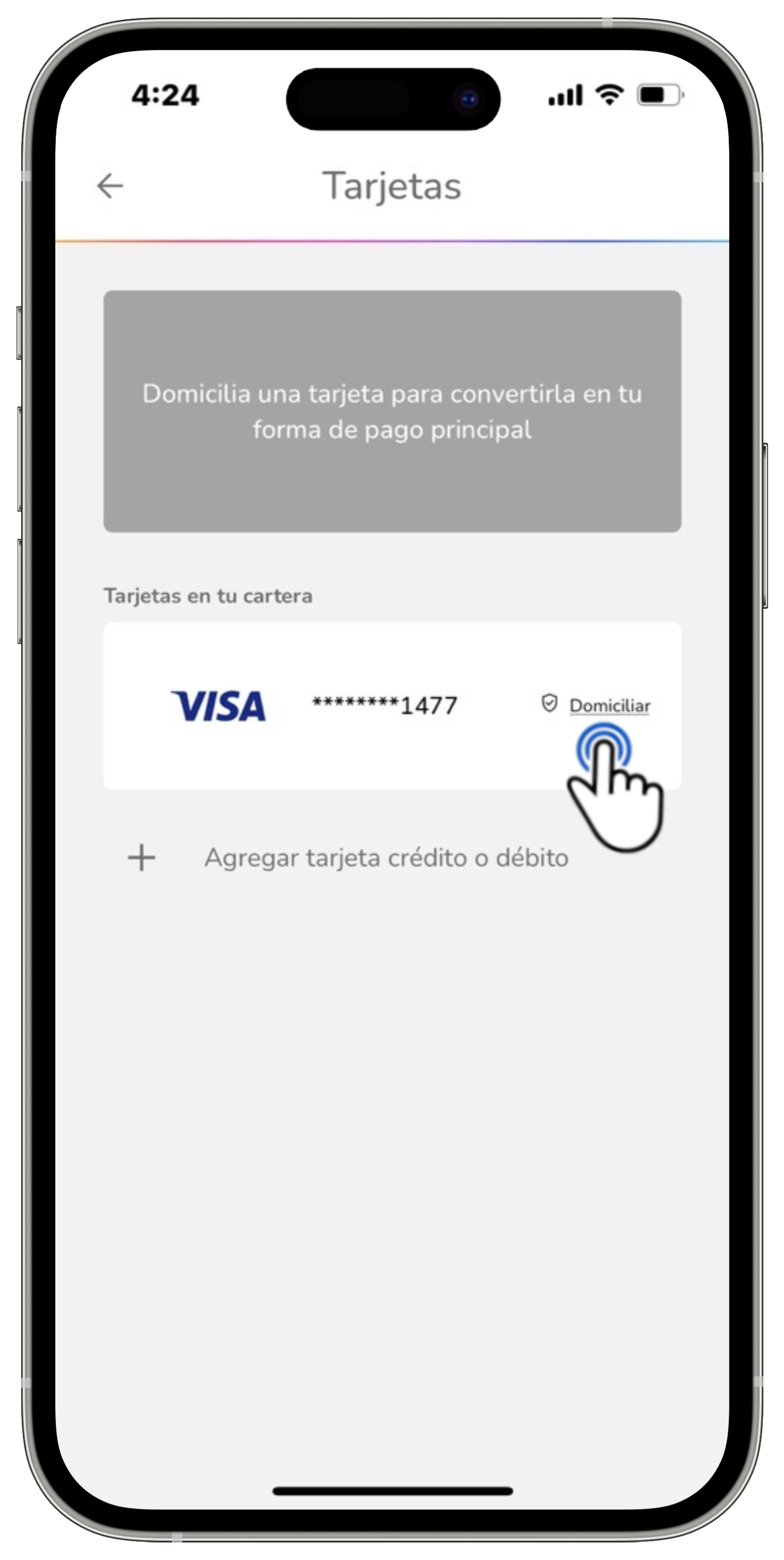 Mi app Sky - Agregar tarjeta 9.jpg