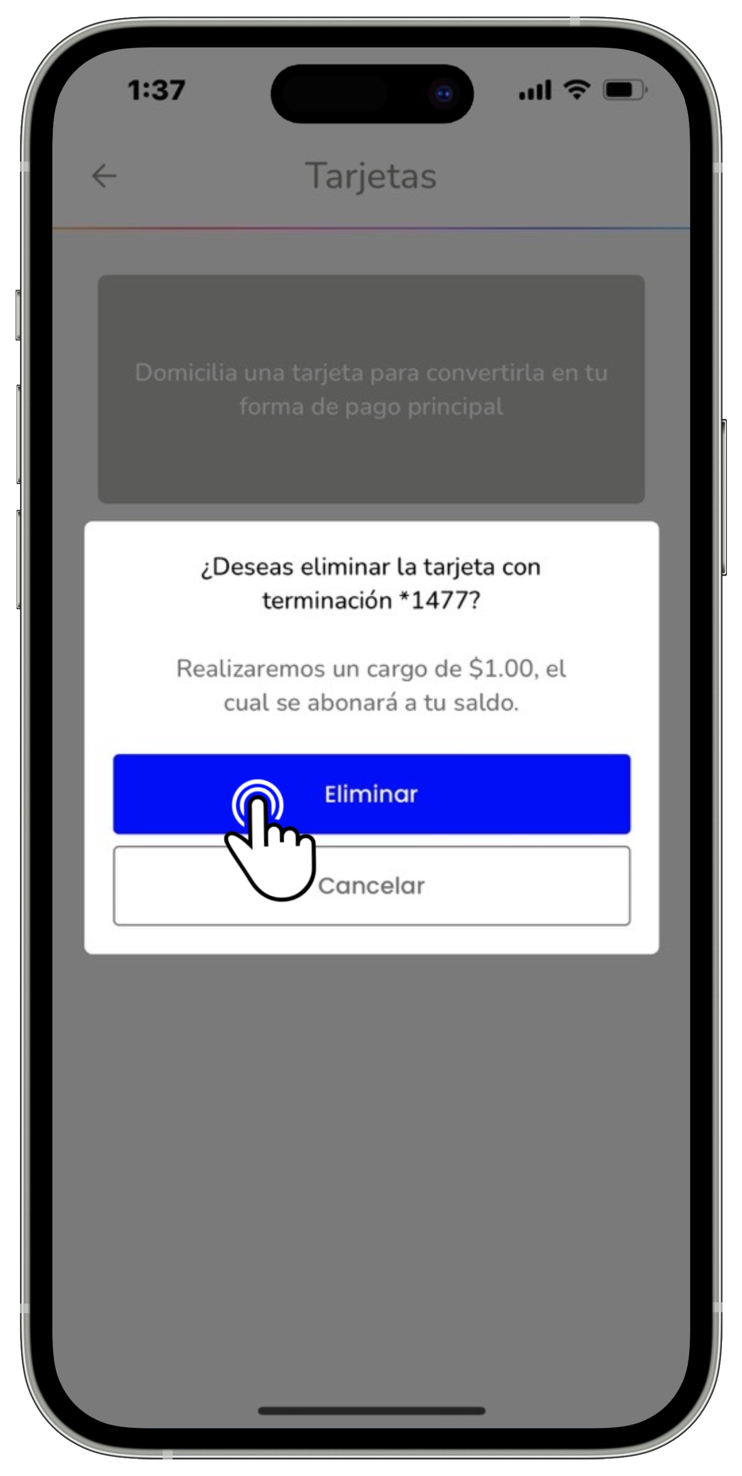 Mi app Sky - Pago con Paypal 14.jpg