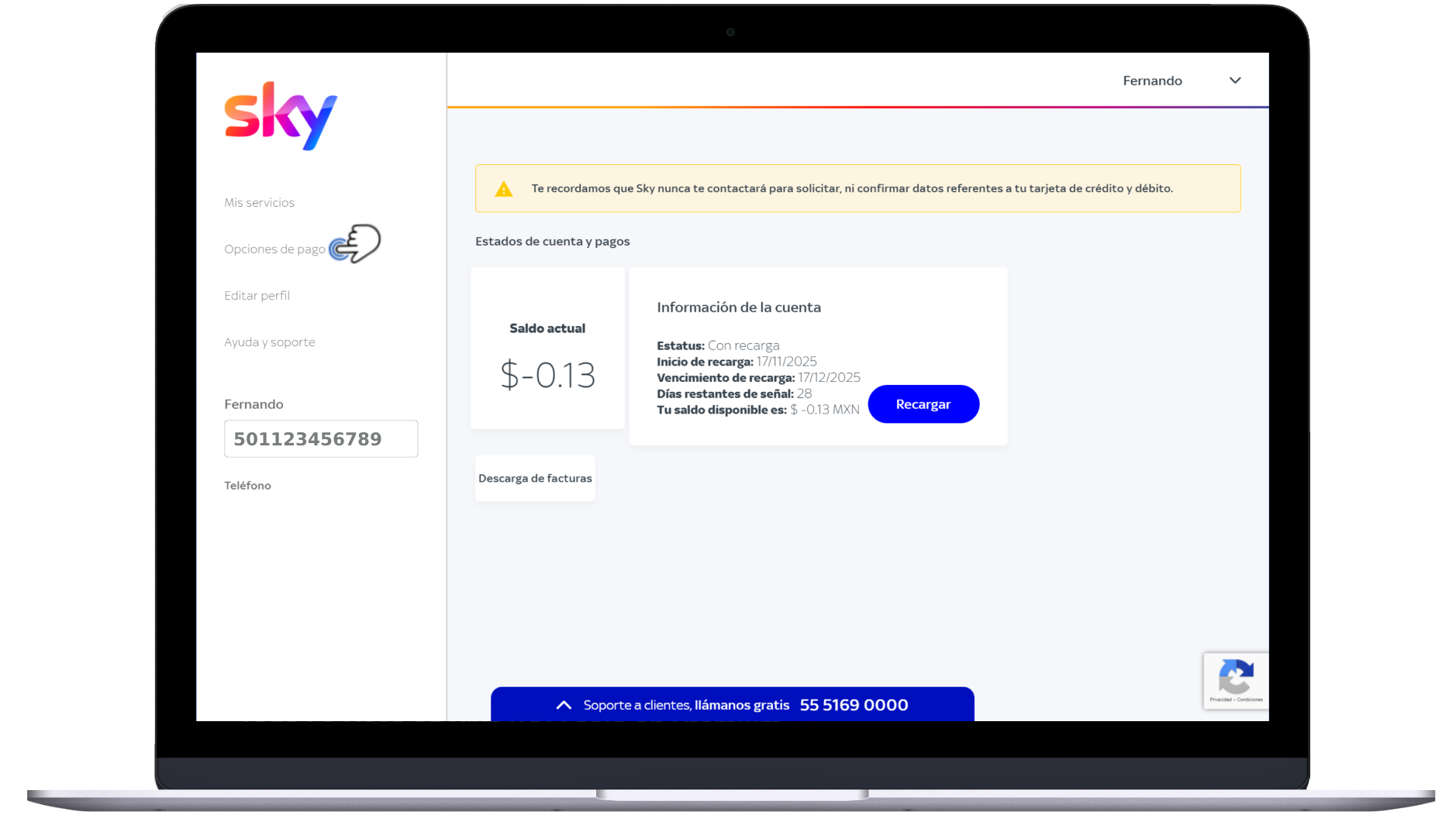 Mi cuenta Sky - Pago 14.jpg