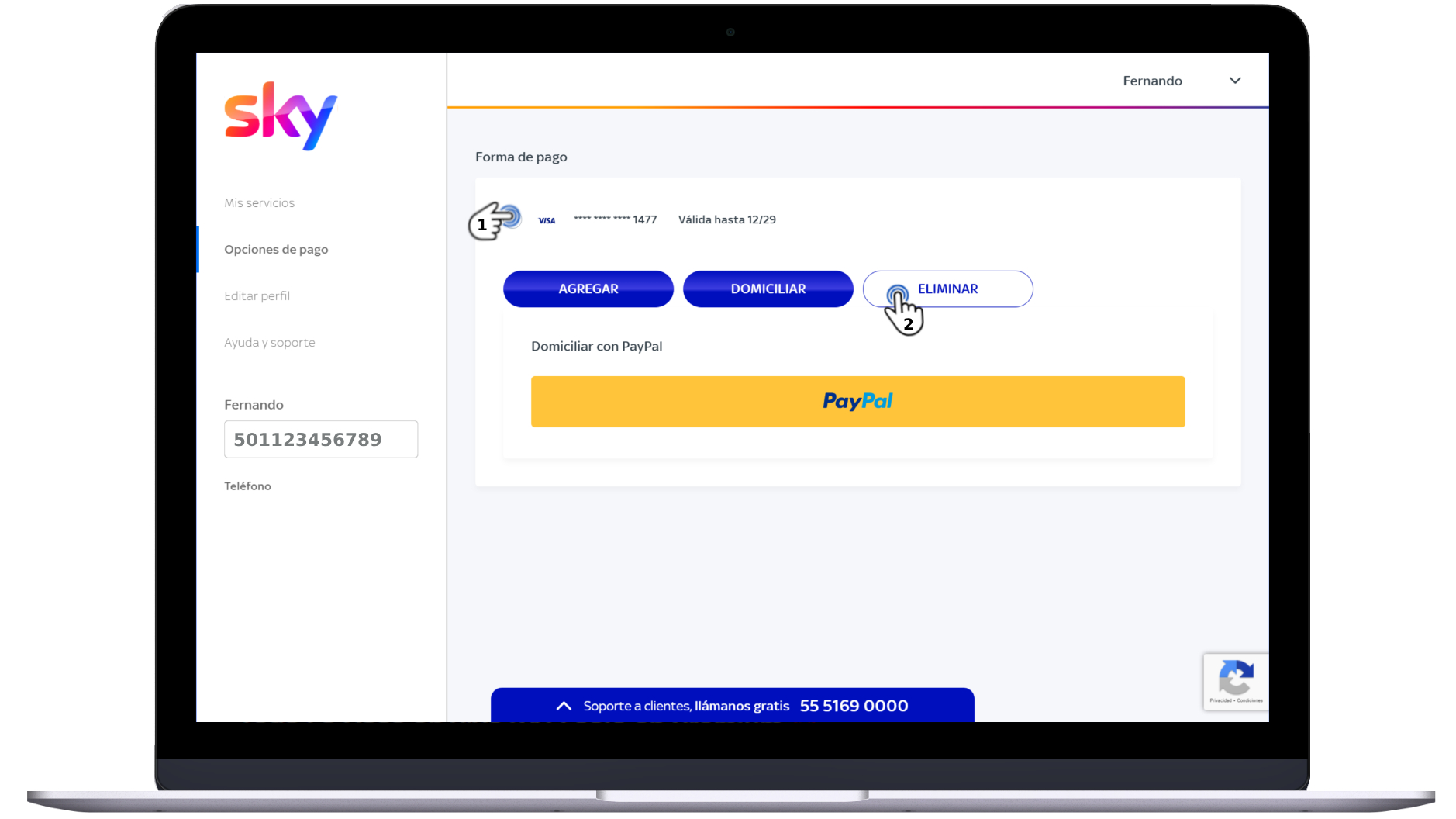 Mi cuenta Sky - Pago 15.jpg