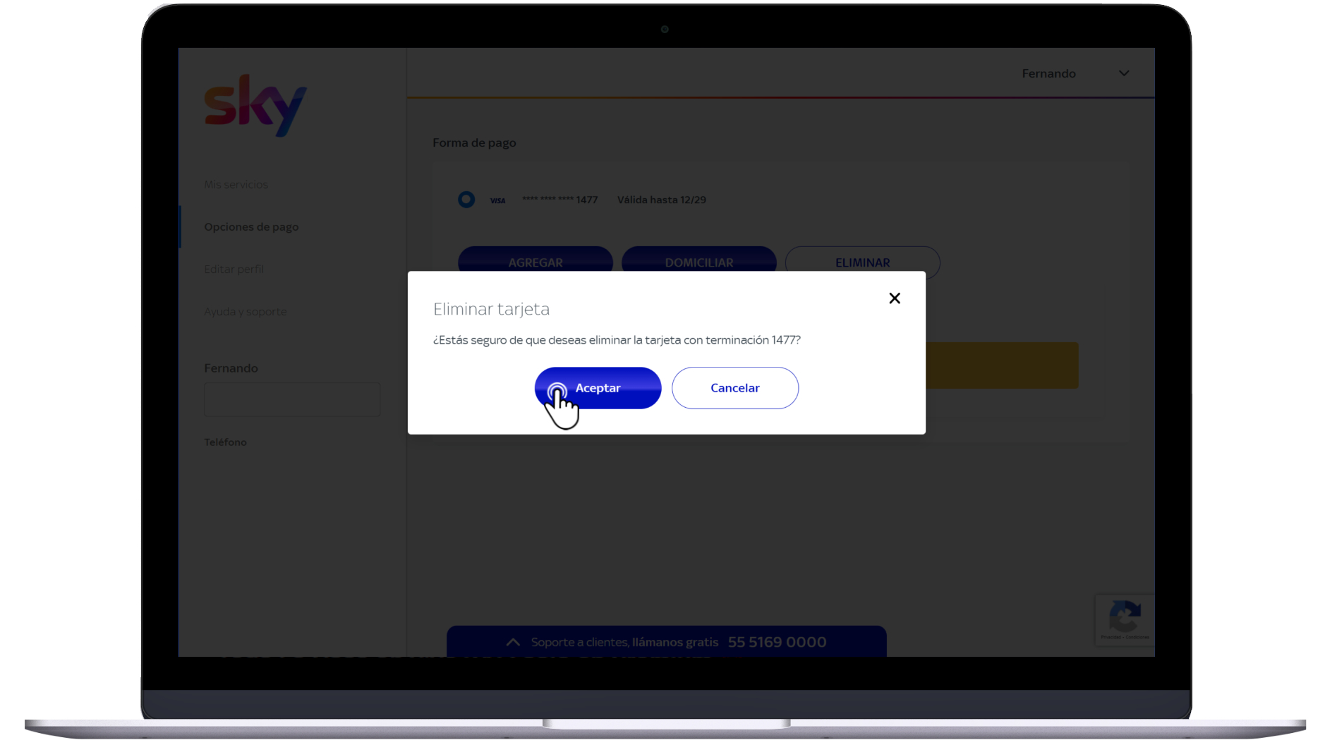 Mi cuenta Sky - Pago 16.jpg