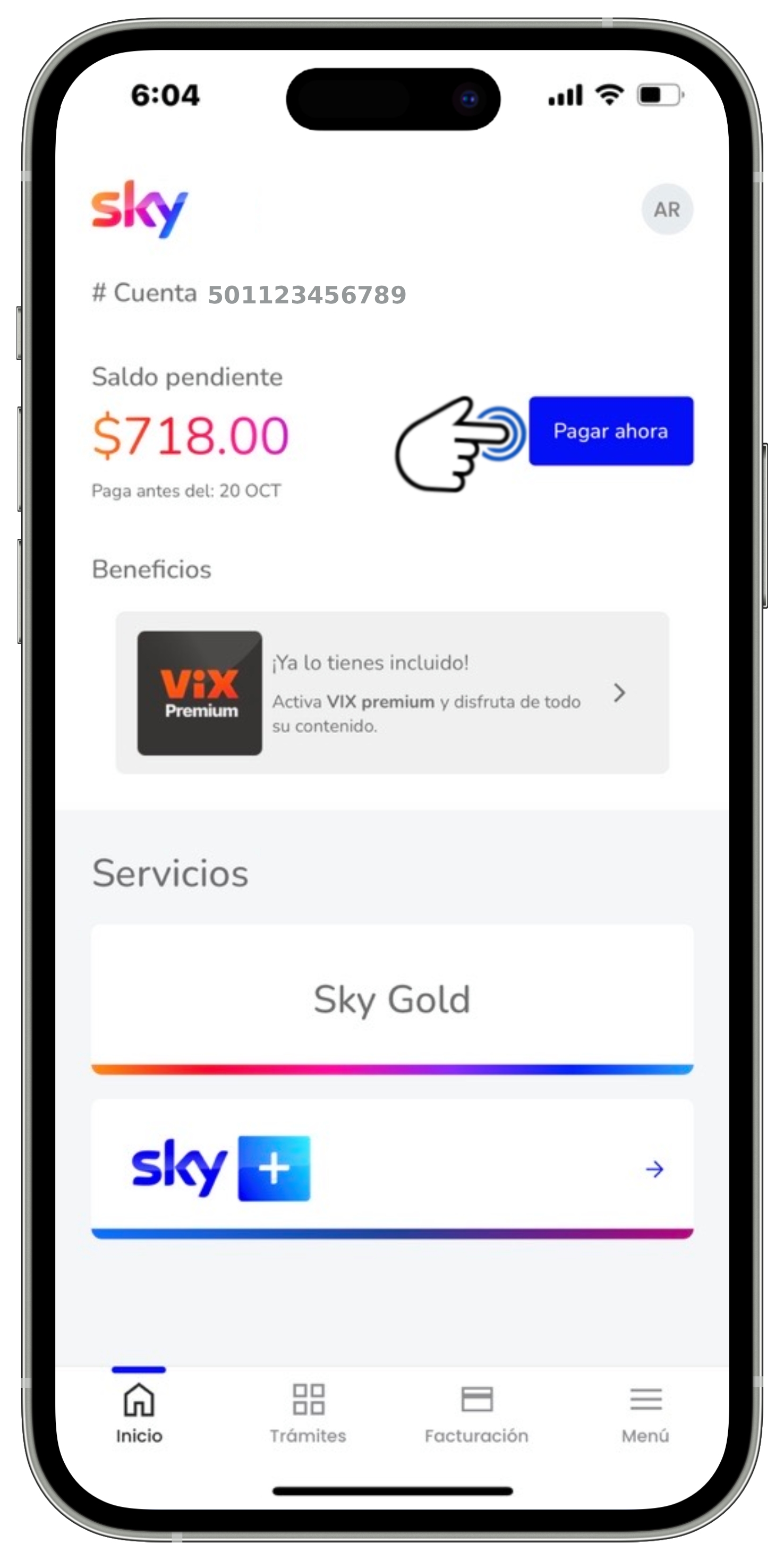 Mi app Sky - Botón Pagar ahora seleccionado.jpg