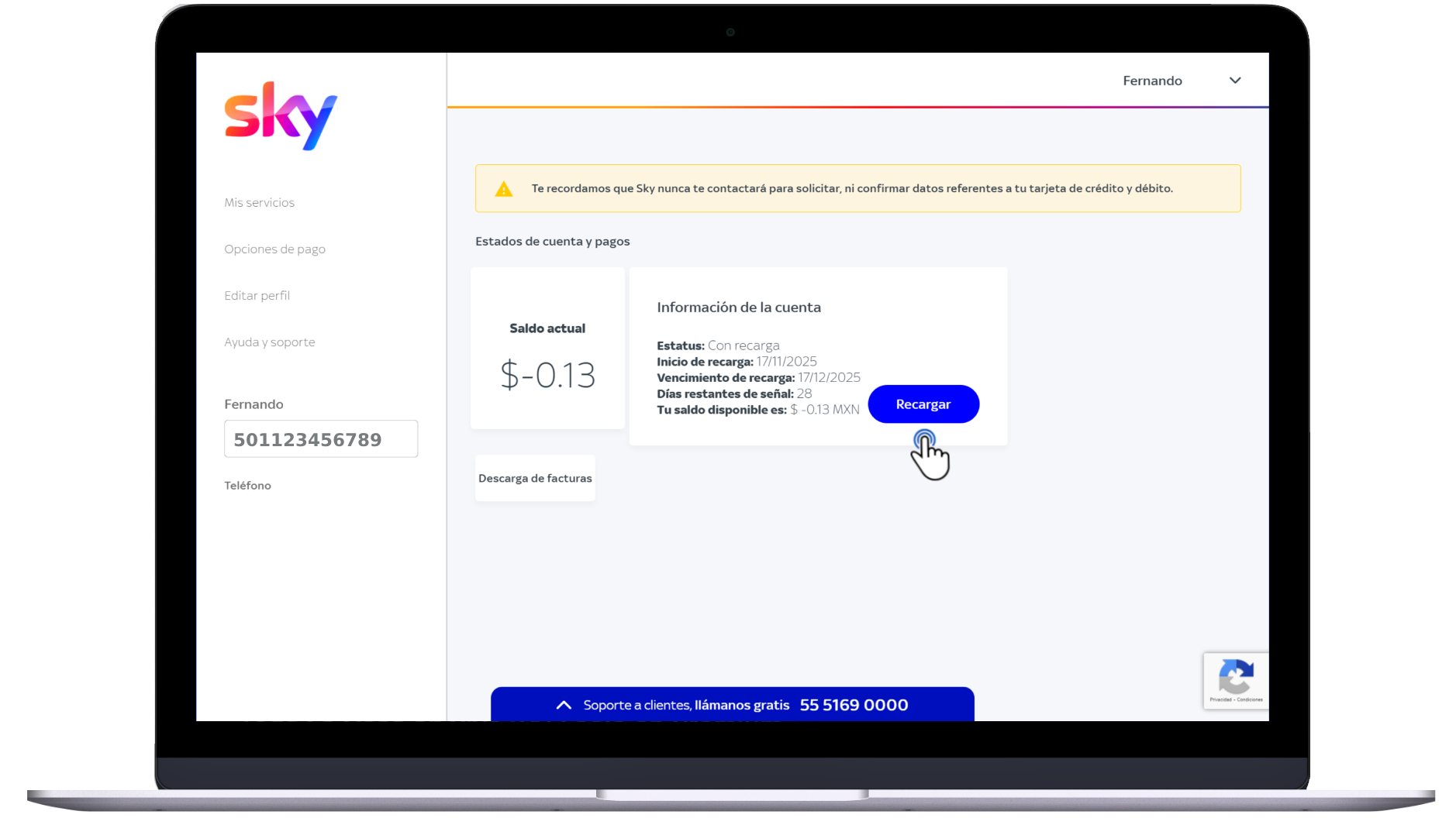 Mi cuenta Sky - Pago 2.jpg